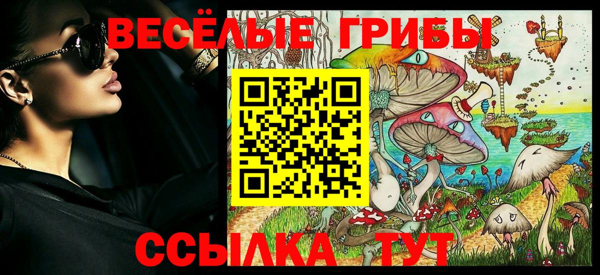 Галлюциногенные грибы ЛСД  Галлюциногенные грибы Psilocybine cubensis  хочу   Вход с VPN  Гуково 